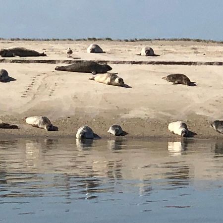 Апартаменты Trekvogels Hoern Дорнум Экстерьер фото